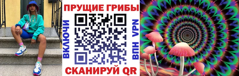 Купить закладки  Гаврилов Посад  Псилоцибиновые грибы Cubensis 
